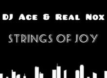 DJ Ace x Real Nox – Strings of Joy