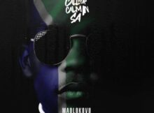 TNS – Call For Calm In SA (Madlokovu Mix)