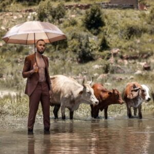 Zulu Mkhathini – Shakata ft. Black Motion