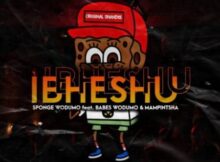 Sponge Wodumo – Ibheshu ft. Mampintsha & Babes Wodumo