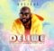 Bhejane - Deliwe ft. Corruption Boyz