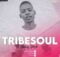 Tribesoul – Top Foil