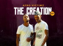 Afro Victimz – The Creation EP zip