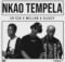Chicco, Mellow & Sleazy – Nkao Tempela