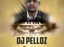 Dj Pelloz – Umhlobo Wenene FM Live Mix