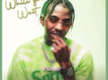 Flvme – While You Wait EP zip download