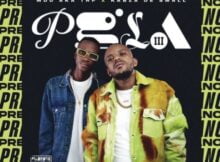 Kabza De Small & MDU aka TRP – Broken People