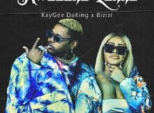 Kaygee DaKing & Bizizi – Kwasuka Lokho EP zip