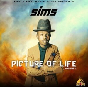 Sims – Picture Of Life Vol 1 EP zip