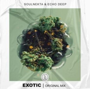 Soulnekta & Echo Deep – Exotic (Original Mix)