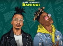 Mthunzi – Baningi ft. Mlindo The Vocalist