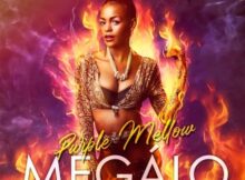 Purple Mellow – Megalo Ft. Tami T, Muddy Vino & Dj Lerumo