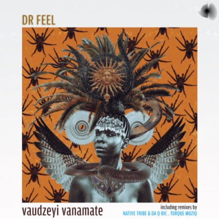Dr Feel – Vaudzeyi Vanamate EP zip