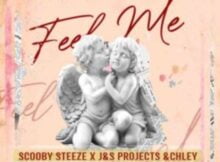 Scooby Steeze, Tex P Beats & J & S Projects – Feel Me ft. Chlèy