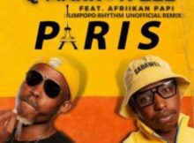 Q-Mark & TpZee – Paris ft. Afriikan Papi (Limpopo Rhythm Unofficial Remix)