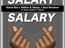 Robot Boii, Mellow & Sleazy – Salary Salary ft. Shaun MusiQ, F Teearse & Soul Revolver