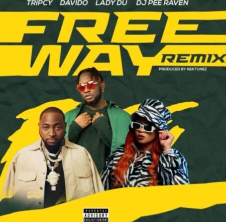 Tripsy, Lady Du, Davido & Nektunez – Freeway (Remix) ft. DJ Pee Raven