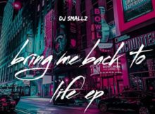 DJ Smallz – Bring Me Back To My Life EP zip download