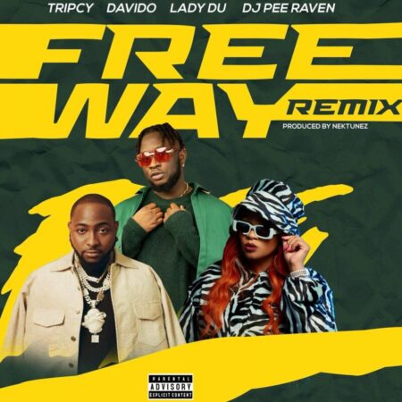 Tripcy & Lady Du – Freeway remix ft. Davido, DJ Pee Raven