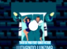 Theo De Pro - Luthando Lunzima Ft. Dineo Ncube (prod. by Dj Obza)