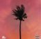 Jay Jody, A-Reece & Marcus Harvey – Purple Palm Trees