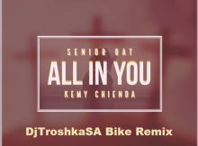 Senior Oat - All In You Ft Kemy Chienda (DJTroshkaSA Bike Remix)