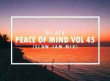 DJ Ace – Peace of Mind Vol 45 (Slow Jam Mix)