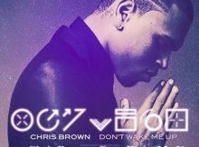 Chris Brown - Dont Wake Me Up (DJTroshkaSA Remix)