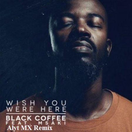 Black Coffee - Wish You Were Here ft. Msaki (Alyt MX Remix)