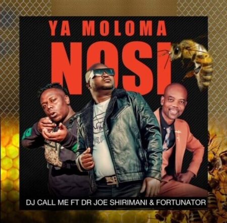 DJ Call Me – Ya Moloma Nosi Ft. Dr Joe Shirimani & Fortunator