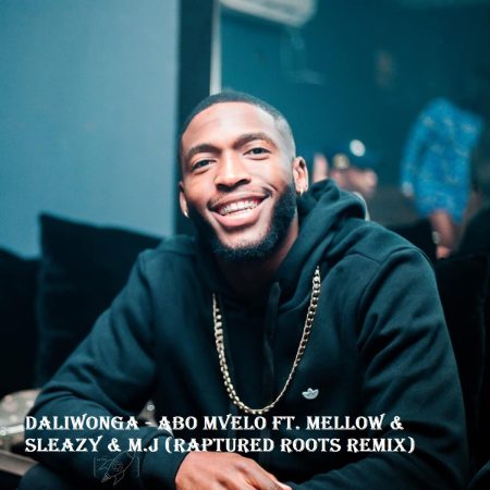 Daliwonga - Abo Mvelo ft. Mellow & Sleazy & M.J (Raptured Roots Remix)