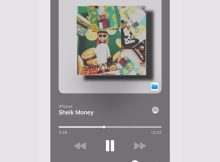 FLUXX, Tapes & 2woBunnies – Sheik Money