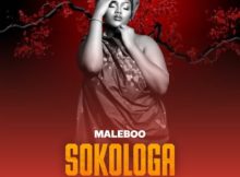 Maleboo – Sokologa ft. Malome Vector