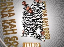 Mfana Kah Gogo - Iminawe Ft. Big John, Fezeka Dlamini, Effective Sounds, Priddy DJ & Teddy Tour