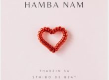 Thabzin SA – Hamba Nam ft. Sthibo De Beat & The Dime