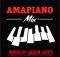 DJ Ace - Amapiano Hits (March 2023 Mix)