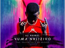DJ Raybel – Vuma Nhliziyo ft. Sburhaiirsh & Zeh McGeba