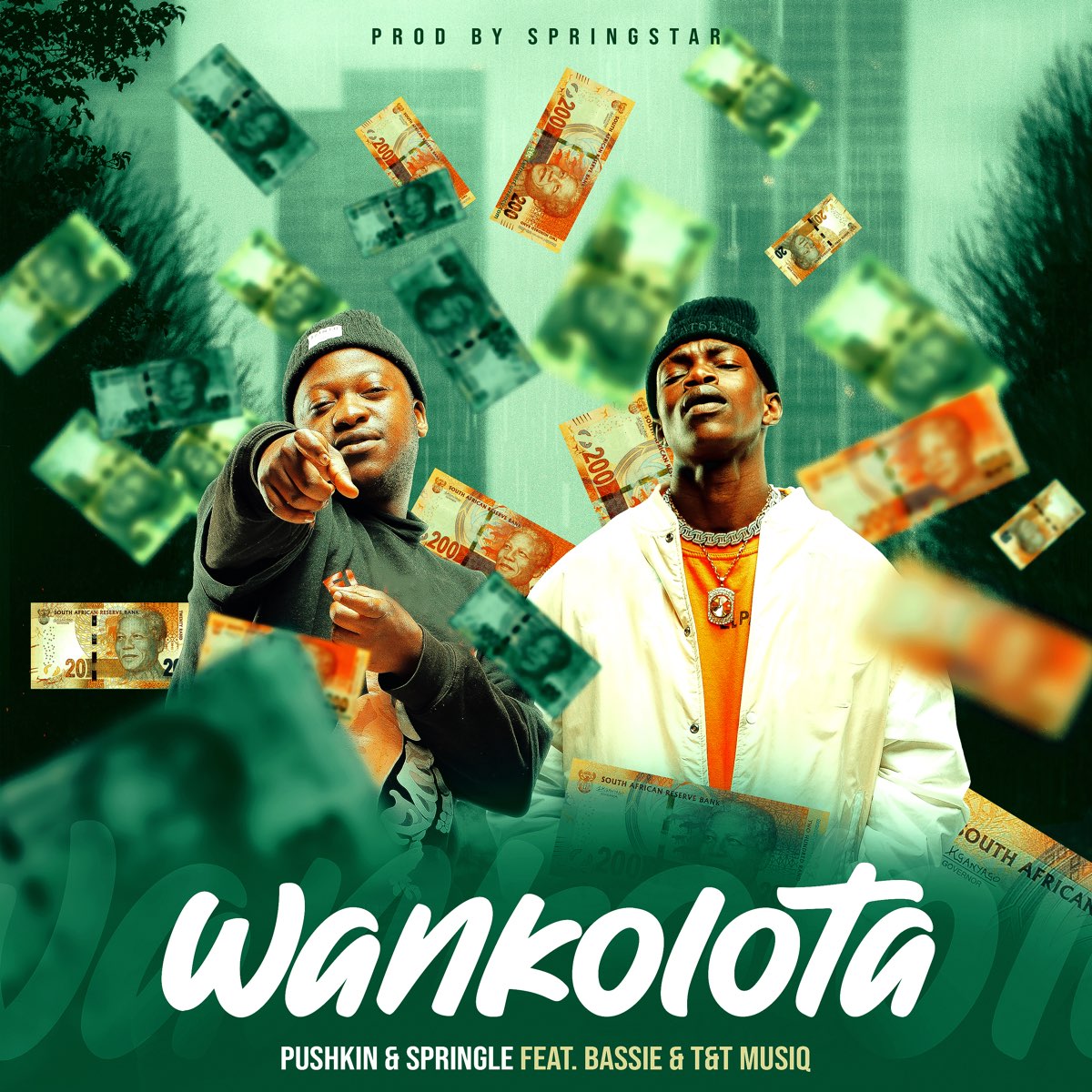 Pushkin & Springle – Wankolota ft. Bassie & T&T Muziq