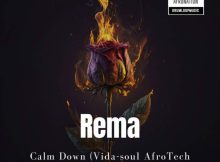 Rema - Calm Down (Vida-soul AfroTech Unofficial Remix)