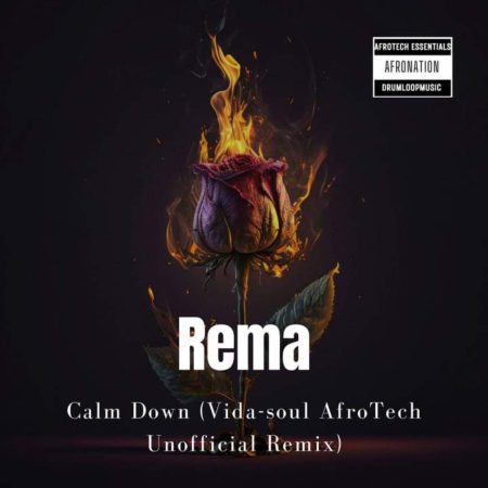 Rema - Calm Down (Vida-soul AfroTech Unofficial Remix)