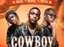 DJ Melzi – Cowboy VIII (Rekere) ft. Moukz & Spitjo88