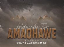MDU aka TRP - Amaqhawe ft. Spizzy, Mashudu & Da Ish