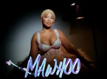 MaWhoo, Kabza De Small & DJ Maphorisa – Nduma Ndumane video ft. Da Muziqal Chef