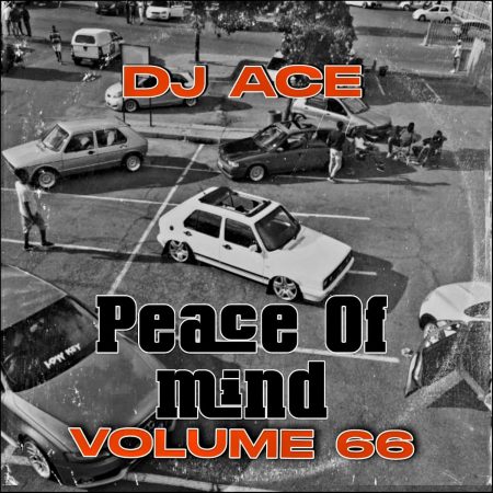 DJ Ace - Peace of Mind Vol 66 (AMA 45 MIX)