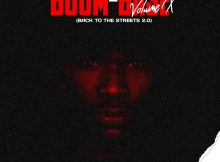 Pro-Tee – Boom Base Volume X Album