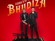 DJ Harvey & Lusha – Bhudiza ft. TA MusiQ, Citykingrsa, JFS Music, Blvcknavy & Deeray