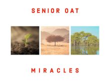 Senior Oat – Miracles Album