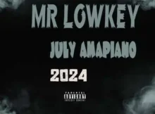Mr Lowkey – July 2024 Amapiano Mix