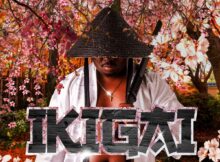 Tman Xpress, Shaunmusiq, Ftears, Thatohatsi, Mellow & Sleazy – Umntwana Kaboban Lo