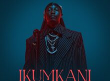 Da Muziqal Chef – IKUMKANI